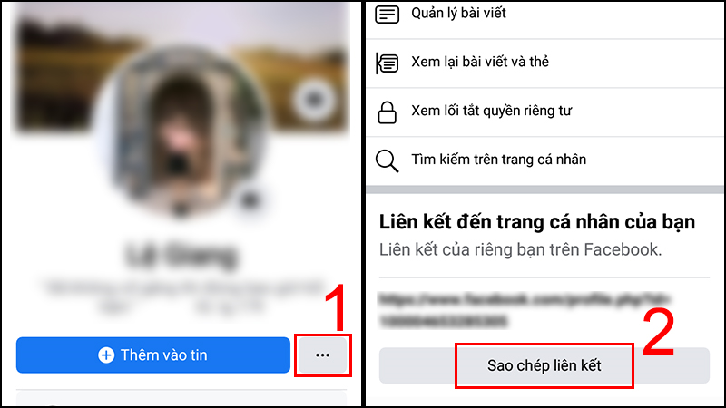sao chép link FB