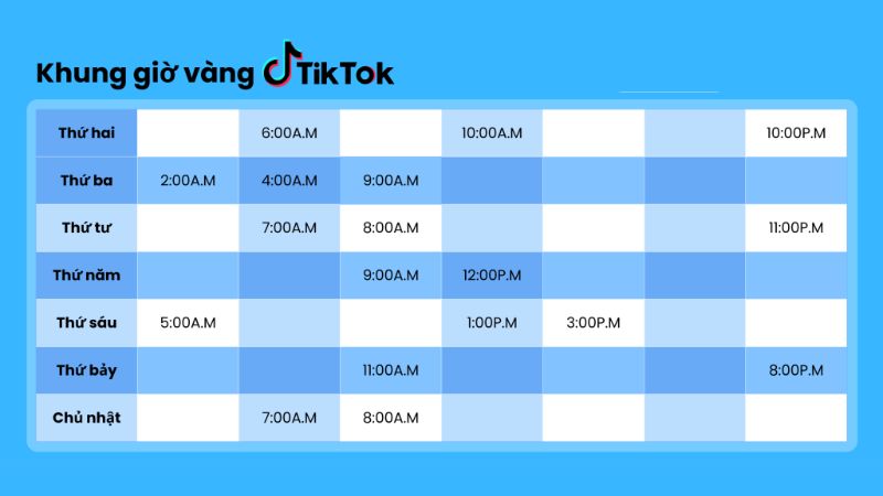 3 yếu tố xếp hạng SEO của TikTok