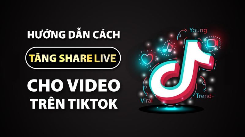 tăng share video TikTok